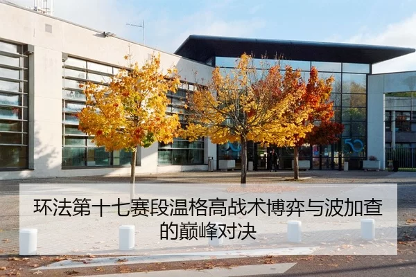 环法第十七赛段温格高战术博弈与波加查的巅峰对决