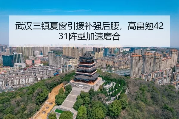 wu-han-san-zhen-xia-chuang-yin-yuan-bu-qiang-hou-yao-gao-tian-mian-zhen-xing-jia-su-mo-he-3-229.jpg