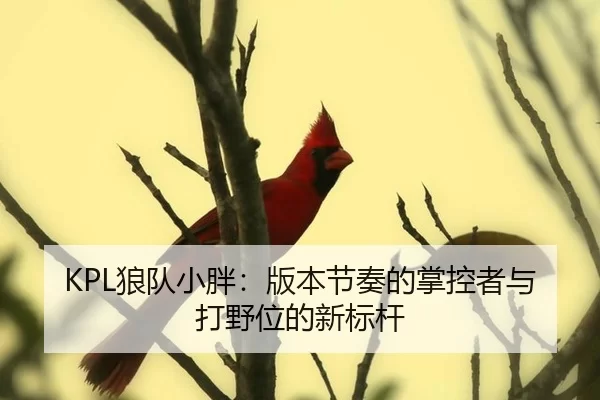 lang-dui-xiao-pang-ban-ben-jie-zou-de-zhang-kong-zhe-yu-da-ye-wei-de-xin-biao-gan-3-539.jpg