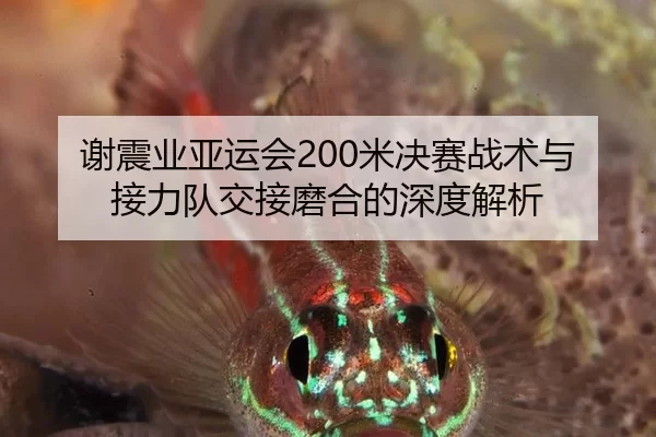 xie-zhen-ye-ya-yun-hui-mi-jue-sai-zhan-shu-yu-jie-li-dui-jiao-jie-mo-he-de-shen-du-jie-xi-3-624.jpg