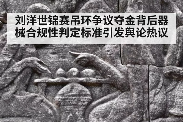 刘洋世锦赛吊环争议夺金背后器械合规性判定标准引发舆论热议