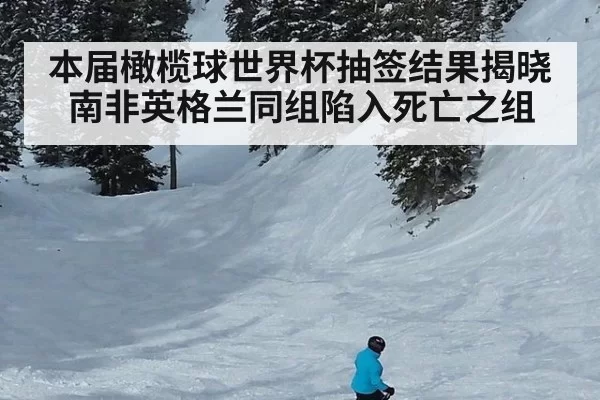 本届橄榄球世界杯抽签结果揭晓 南非英格兰同组陷入死亡之组